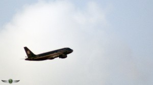 SONY DSC
